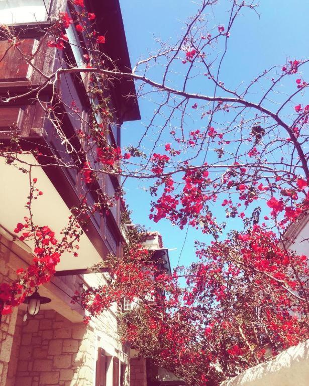 Alayaz Hotel 阿拉恰特 外观 照片